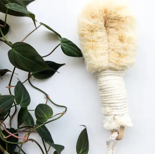 Smile Boutiques Natural Sisal Dry Brush