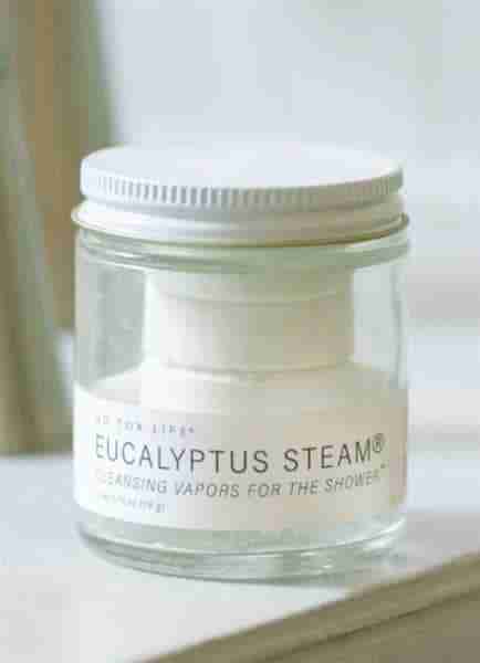 No Tox Life - Eucalpytus Shower Steamers Mini Jar, 4 Steamers