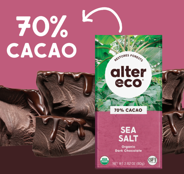 Alter Eco Organic Sea Salt 70% Cacao Dark Chocolate, 80 g