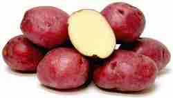 CERTIFIED ORGANIC Yellow Baby Potatoes 3Lb