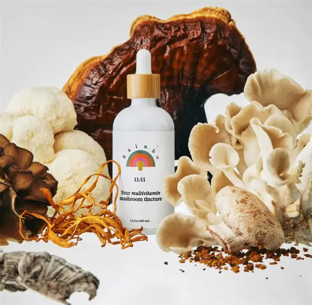 Rainbo 11:11 Multi-Mushroom Tincture, 100 mL