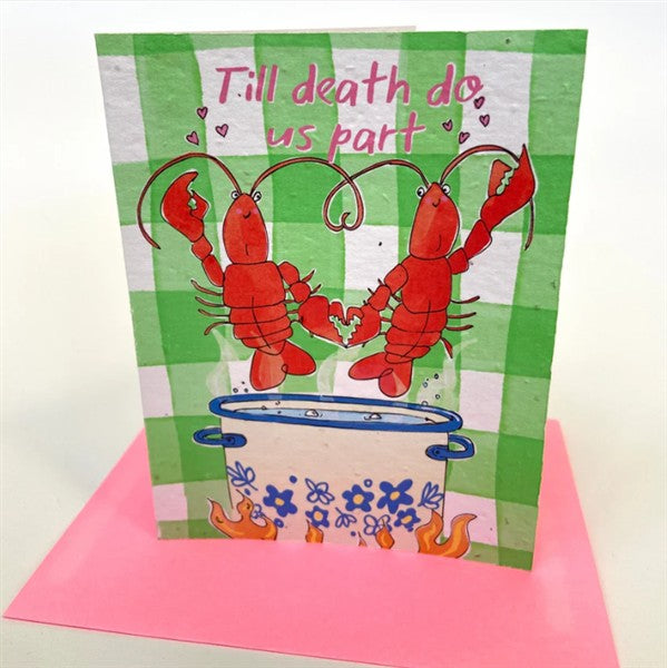 Jill + Jack Seed Cards - Forever Lobsters