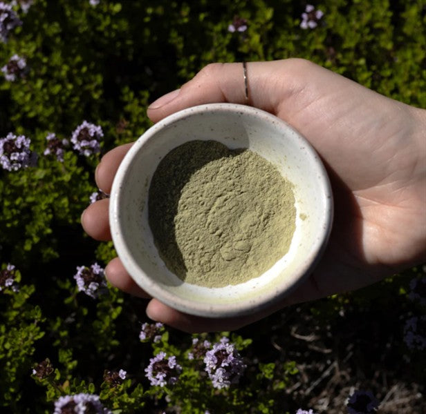 Evanhealy Green Tea Clay, 1 oz