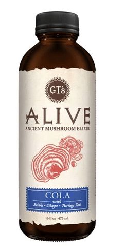 GT's ALIVE Ancient Mushroom Elixar: Cola, 480Ml