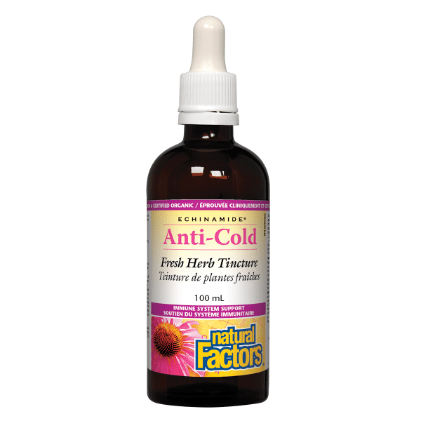 Natural Factors Echinamide Anti-Cold Tincture, 100 mL