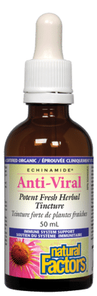 Natural Factors Echinamide Anti-Viral Potent Fresh Herbal Tincture, 50 mL