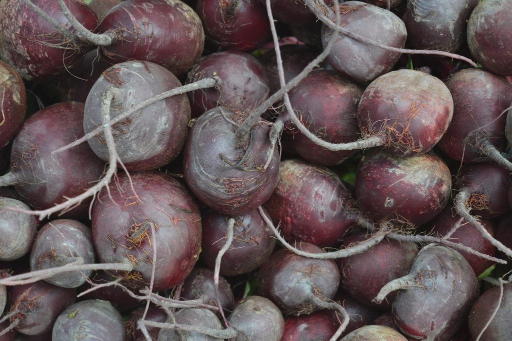 Taproot Farms - Bagged Beets, 900g