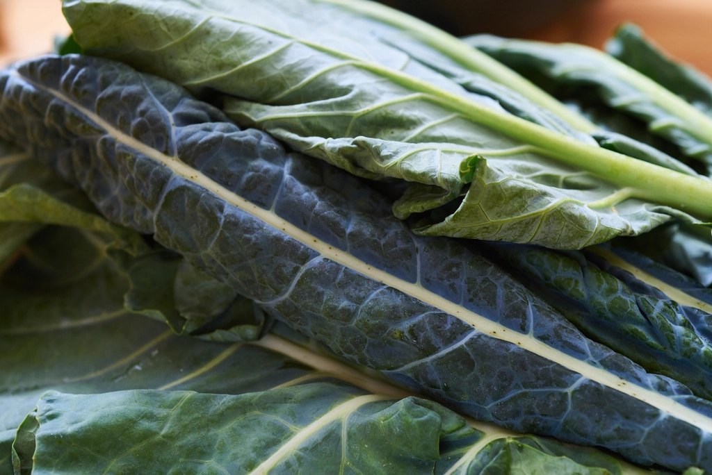 CERTIFIED ORGANIC Black Kale