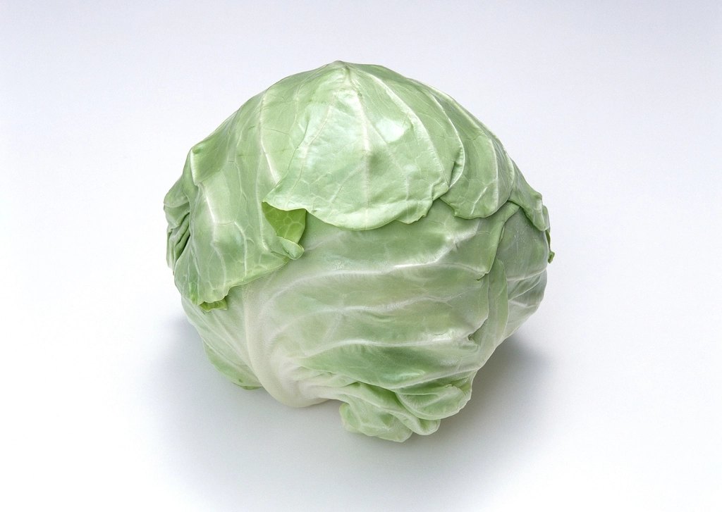 CERTIFIED ORGANIC Green Cabbage