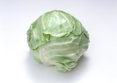 CERTIFIED ORGANIC Green Cabbage