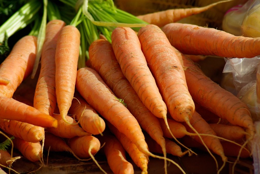 Taproot Farms - Carrots, 900g