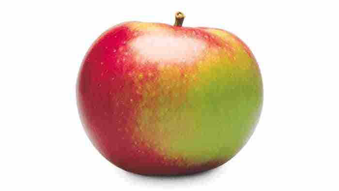 Certified Organic McIntosh Apple