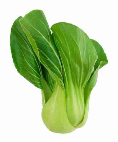 Certified Organic BB Bok Choy