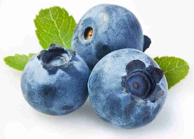 CERTIFIED ORGANIC Blueberries