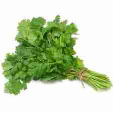 CERTIFIED ORGANIC Cilantro Bunch