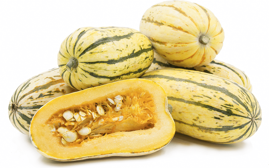 Certified Organic Delicata Squash