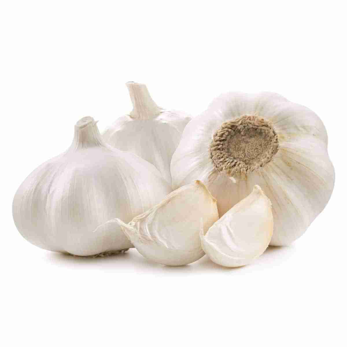 CERTIFIED ORGANIC Garlic