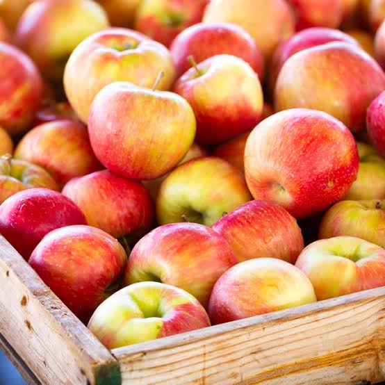 CERTIFIED ORGANIC LOCAL Honeycrisp Apples