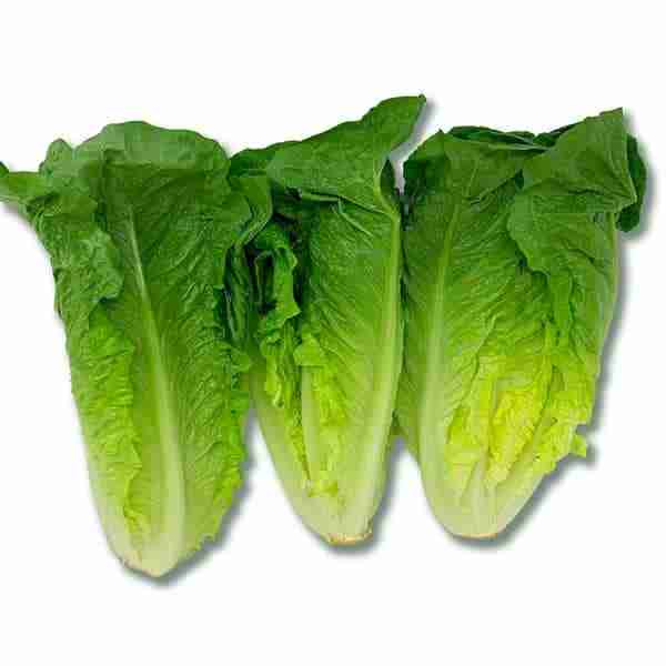 Certified Organic Romaine Hearts, 3 Pack