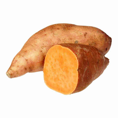 CERTIFIED ORGANIC  Sweet Potato