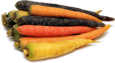 CERTIFIED ORGANIC Tri-Coloured Carrots 2Lb Bag