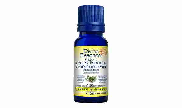 Divine Essence Organic Cypress Evergreen Essential Oil - 15Ml