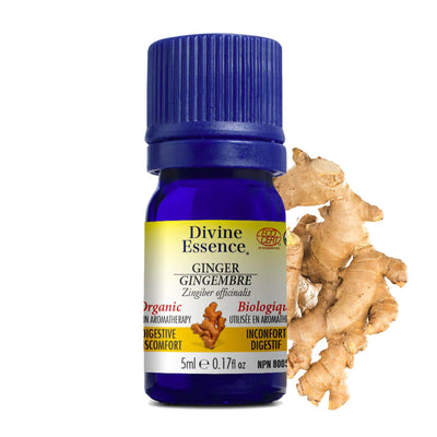 Divine Essence Organic Ginger Essential Oil, 5 mL