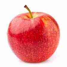 CERTIFIED ORGANIC Gala Apple