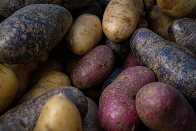 CERTIFIED ORGANIC Fingerling Potatoes 1.5lbs