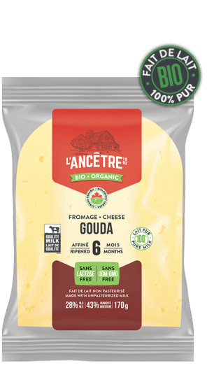 L'ancetre - Gouda, 170G
