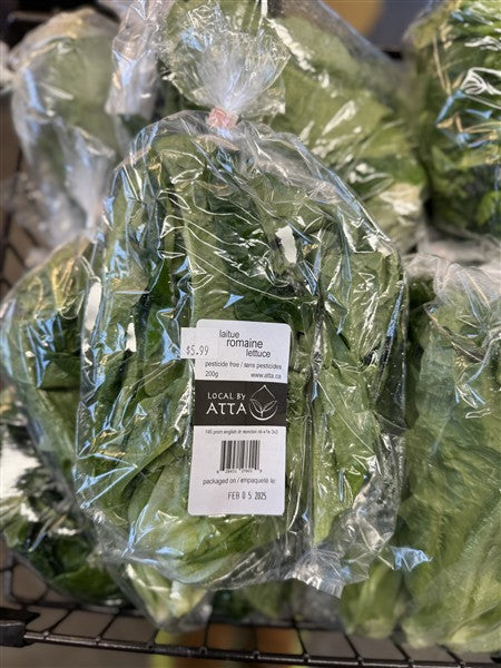 Local By Atta - Romaine Lettuce, 200G