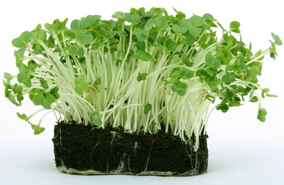 Local By Atta - Micro Broccoli, 60g