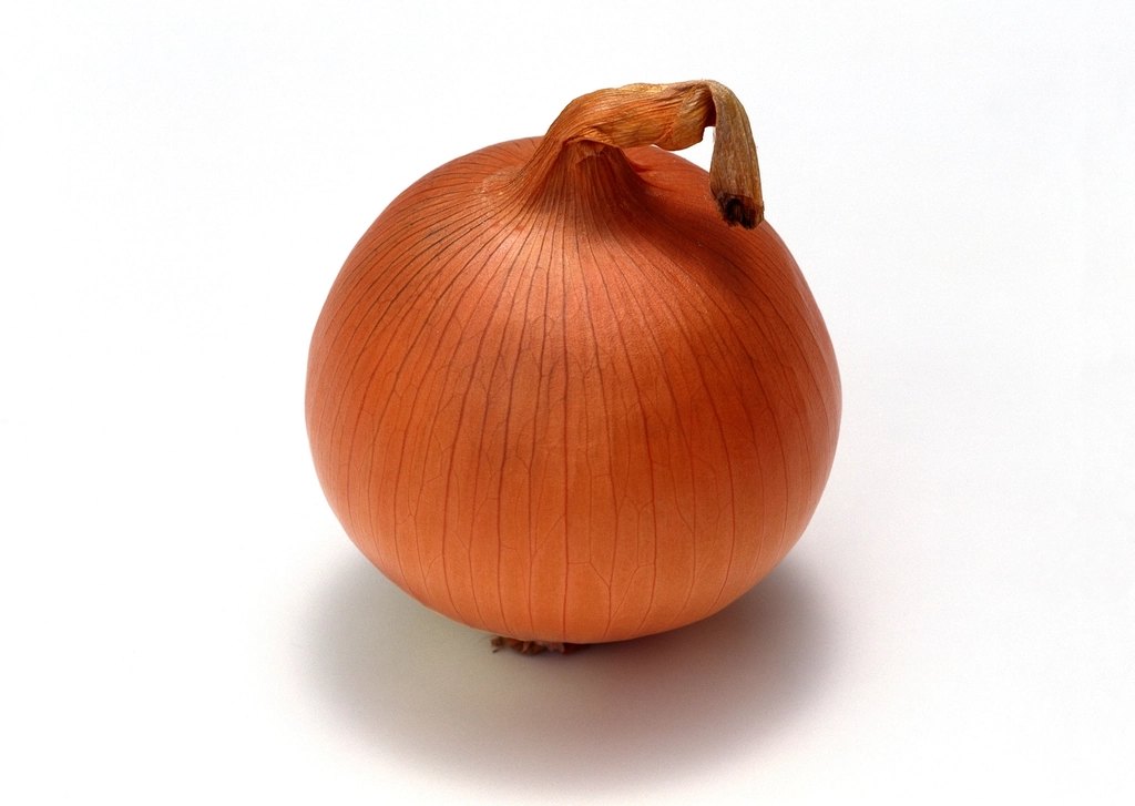 CERTIFIED ORGANIC Yellow Onion, Loose