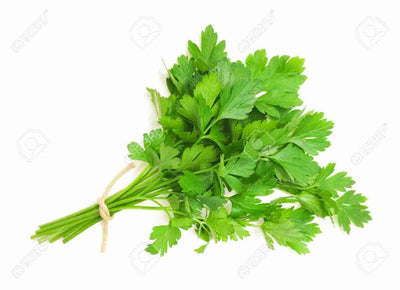 CERTIFIED ORGANIC Italian Parsley Bunch