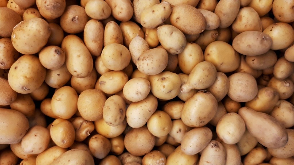Taproot Farms - Potatoes 907g/2lb
