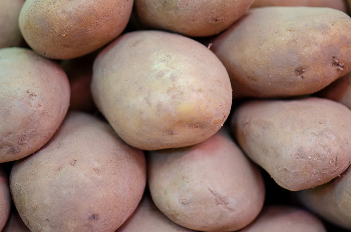 CERTIFIED ORGANIC White Potatoes, 5lb