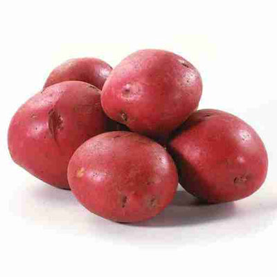 CERTIFIED ORGANIC Red Potatoes 5Lb Bag