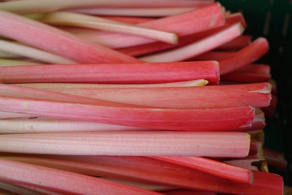 CERTIFIED ORGANIC Rhubarb