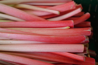 CERTIFIED ORGANIC Rhubarb