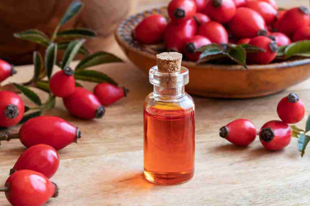 Bulk Organic Rosehip Oil, 100G