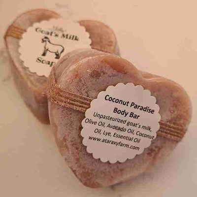 Tally's - Coconut Paradise Body Bar