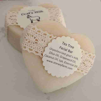 Tally's - Teatree Facial Bar