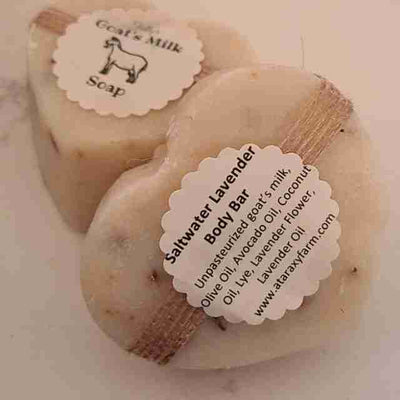 Tally's Saltwater Lavender Body Bar