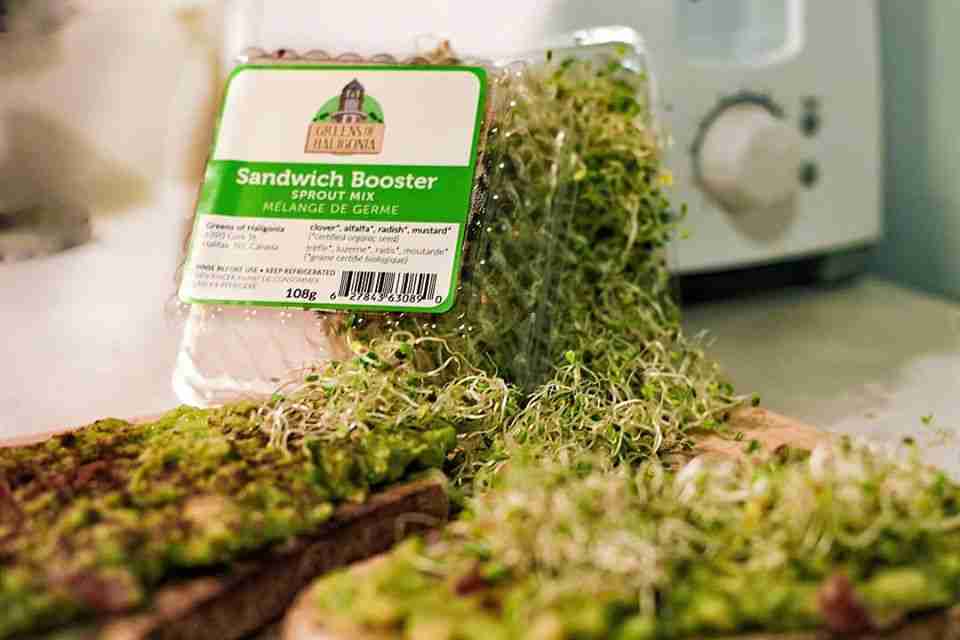 Greens Of Haligonia, Sandwich Booster Sprout Mix, 108G