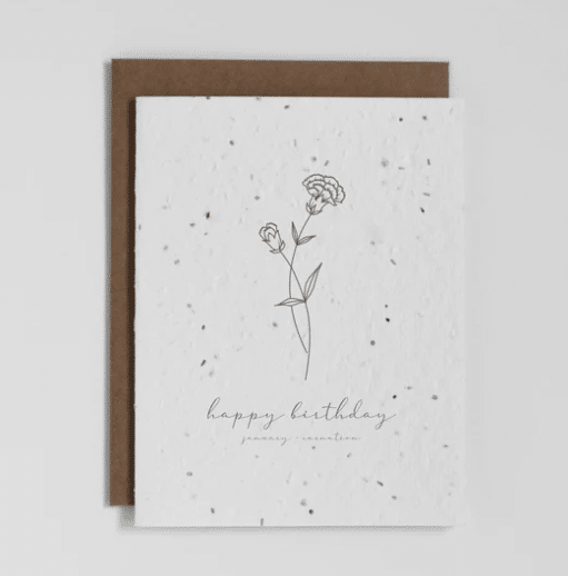 The Good Card - Birth Flower: January Carnation