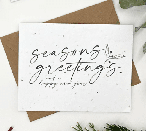 The Good Card - Holiday Berry Branches: Seasons Greetings