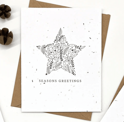 The Good Card - Holiday Floral Frames: Star