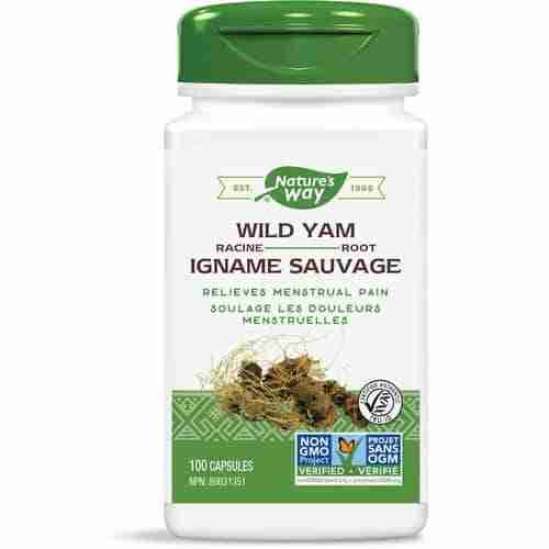Nature's Way - Wild Yam Root, 100 Caps