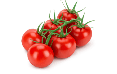 CERTIFIED ORGANIC Vine Tomatoes