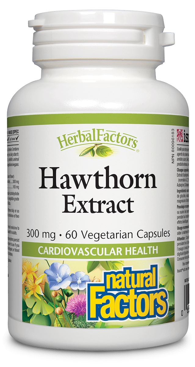 Natural Factors Hawthorn Extract 300Mg - 60 Capsules